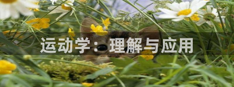 米兰体育网站：运动学：理解与应用