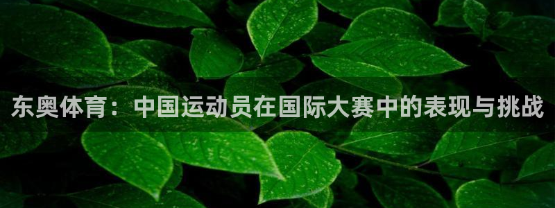 米兰体育：东奥体育：中国运动员在国际大赛中的表现与挑战