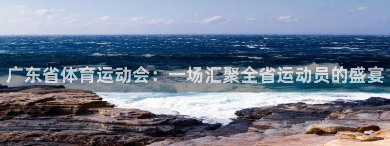 米兰体育中心：广东省体育运动会：一场汇聚全省运动员的盛宴
