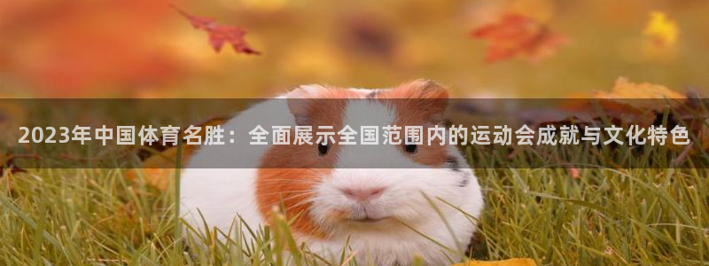 米兰体育：2023年中国体育名胜：全面展示全国范围内的运动会成就与文化特色