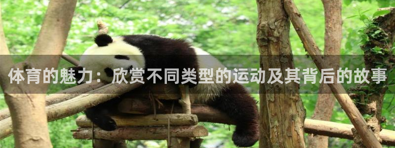 米兰体育平台：体育的魅力：欣赏不同类型的运动及其背后的故事