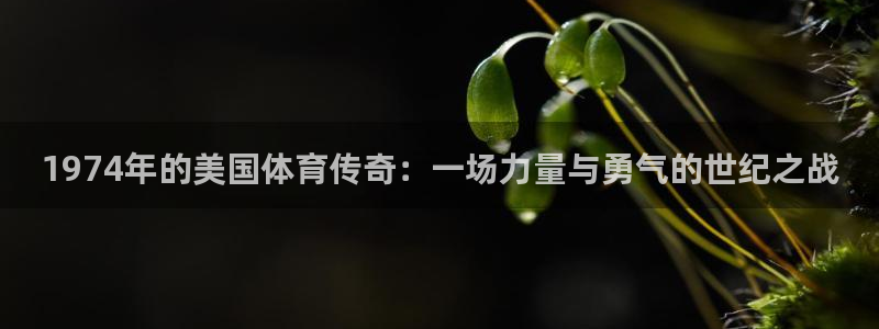 米兰体育官方下载入口：1974年的美国体育传奇：一场力量与勇气的世纪之战