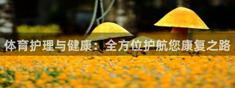 米兰体育官网：体育护理与健康：全方位护航您康复之路
