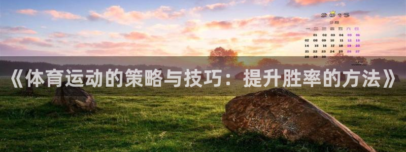 米兰体育场：《体育运动的策略与技巧：提升胜率的方法》