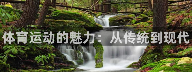 米兰体育平台：体育运动的魅力：从传统到现代