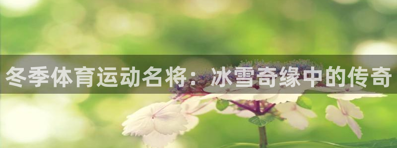 米兰体育官网：冬季体育运动名将：冰雪奇缘中的传奇