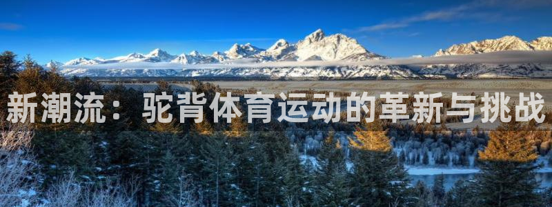米兰体育靠谱吗：新潮流：驼背体育运动的革新与挑战