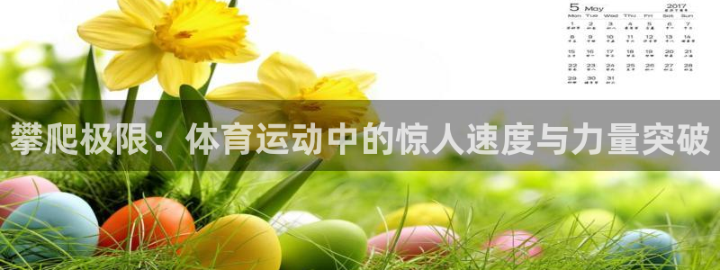 米兰体育报官网：攀爬极限：体育运动中的惊人速度与力量突破