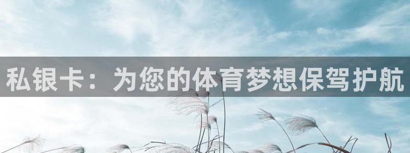 米兰体育：私银卡：为您的体育梦想保驾护航