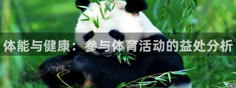 米兰体育官方下载入口：体能与健康：参与体育活动的益处分析