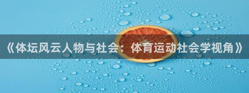 米兰体育.：《体坛风云人物与社会：体育运动社会学视角》